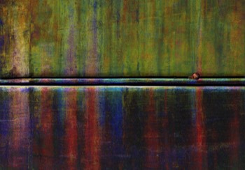 snail on wall
