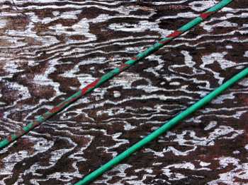 hose on plywood