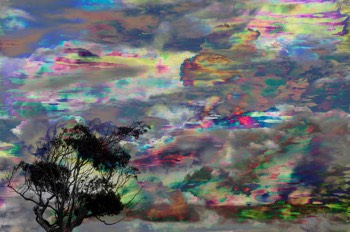 wind