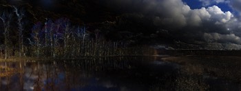refuge