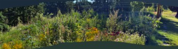 Panorama of the sunny half