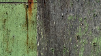 green wall, Pt Reyes