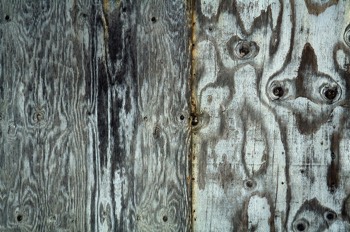 wall, Milwaukie Ave, Portland