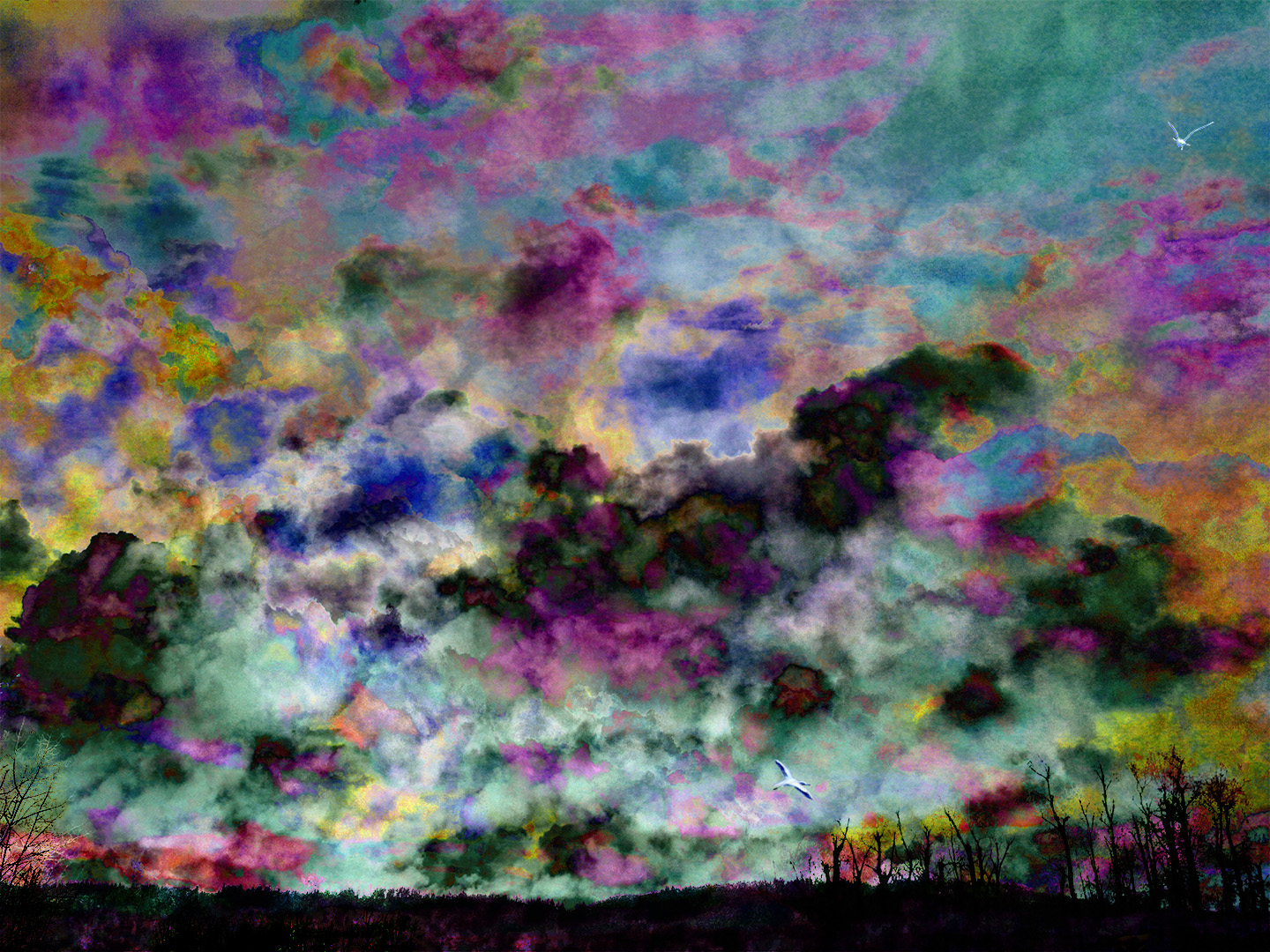 unexpectedly fine November day