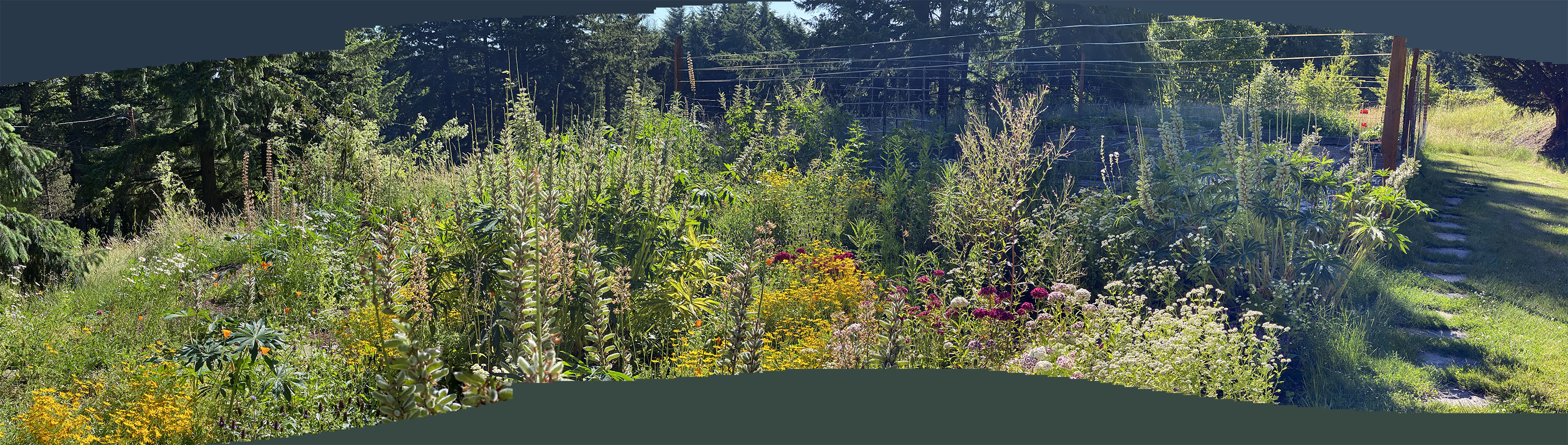 Panorama of the sunny half