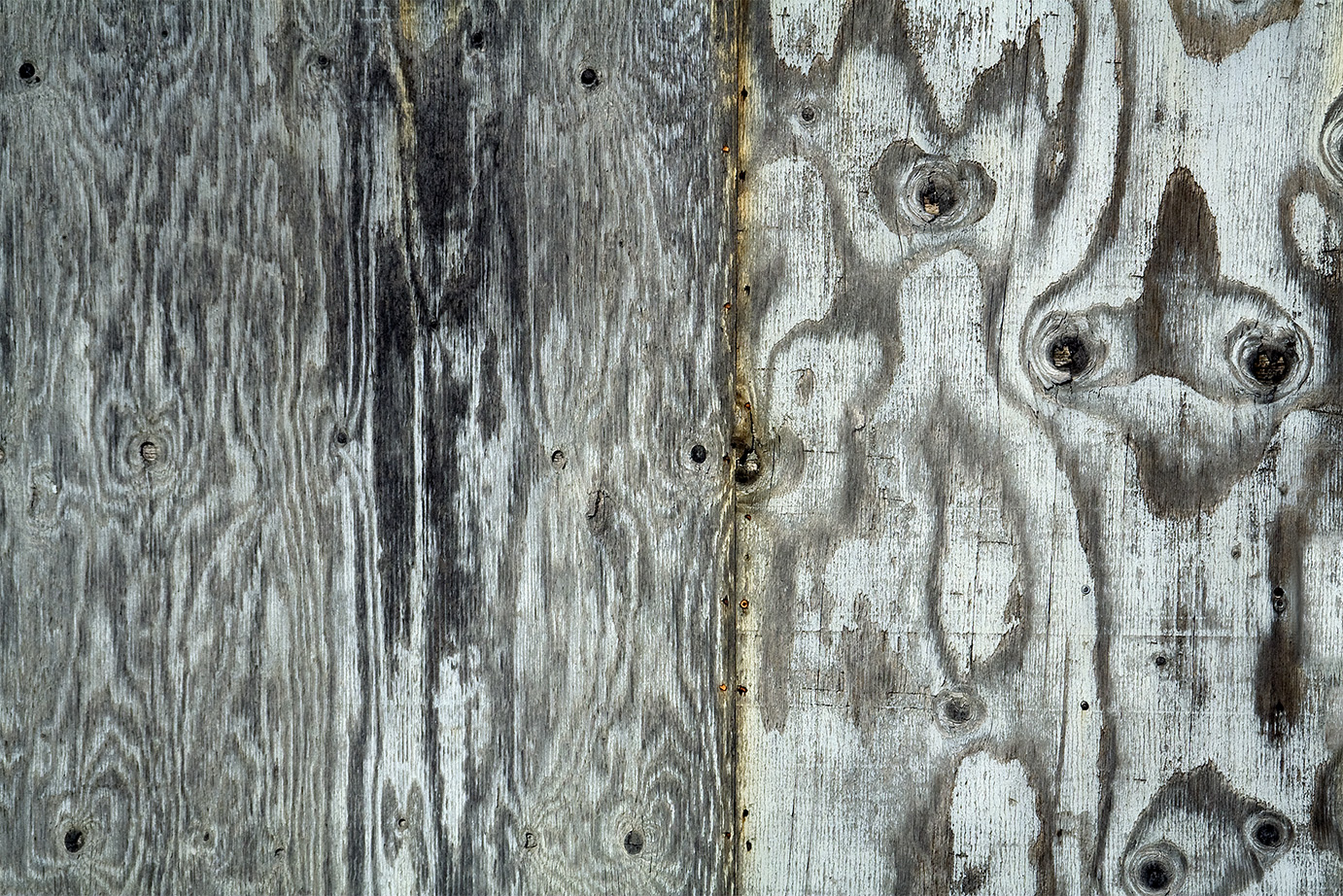 wall, Milwaukie Ave, Portland